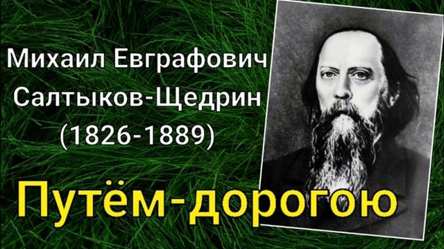 М.Е.Салтыков-Щедрин. Путём-дорогою смотреть онлайн