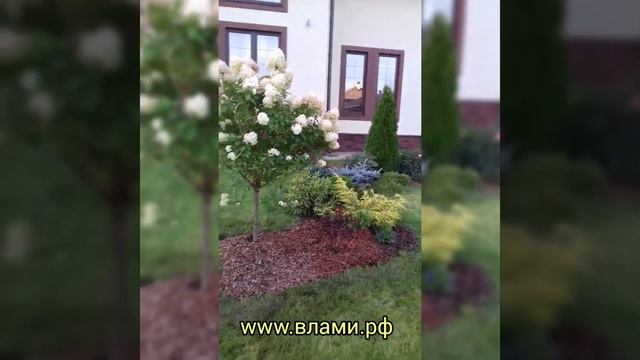 Красивые дачи. Букет для любимой!