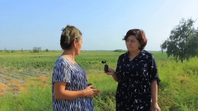 Нишонда Улугнор тумани хокими. Тез кунларда! смотреть онлайн