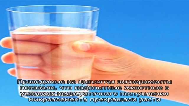 Продукты питания богатые бором