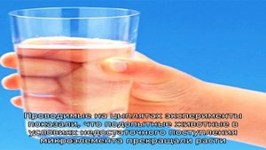 Продукты питания богатые бором