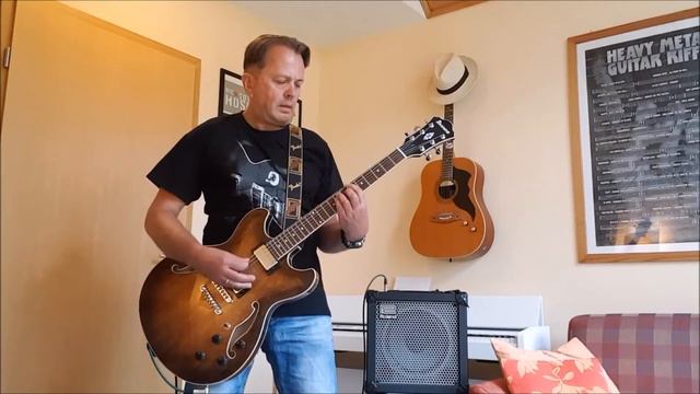 Warten auf dich - Die Toten Hosen Guitar Cover смотреть онлайн