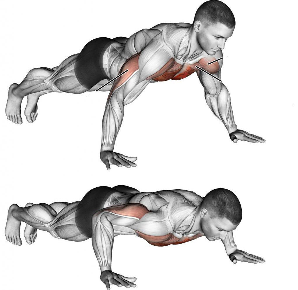 Классические отжимания от пола техника выполнения