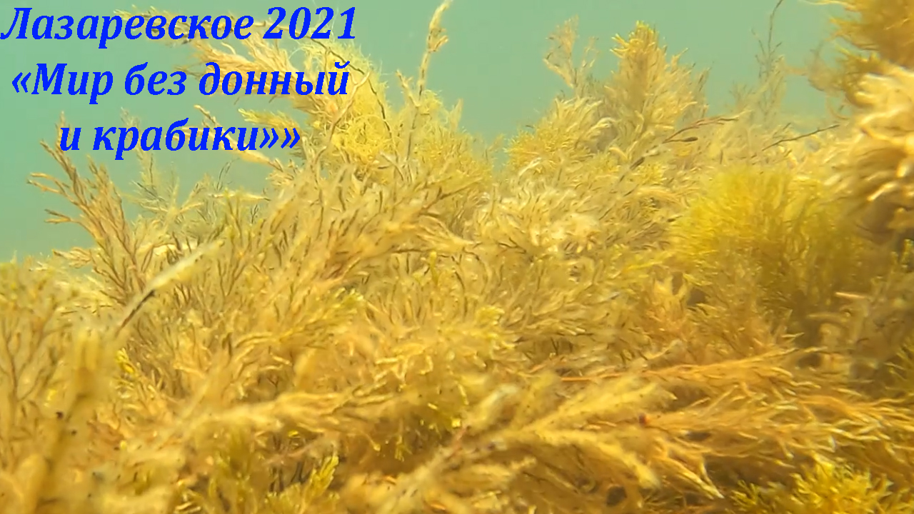Море море ,мир бездонный! Лазаревское 01.08.2021.?ЛАЗАРЕВСКОЕ СЕГОДНЯ?СОЧИ.