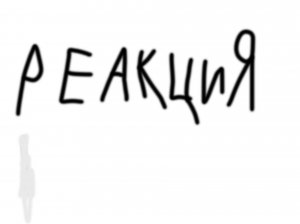 реакция на магнитошахтинскую область