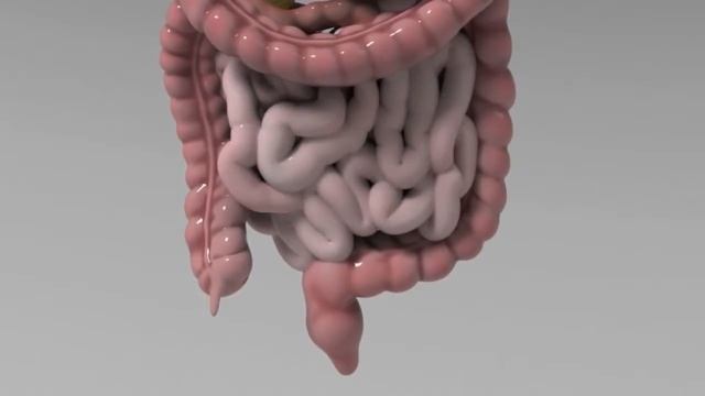 Прекращаем кушать хлеб смотреть онлайн