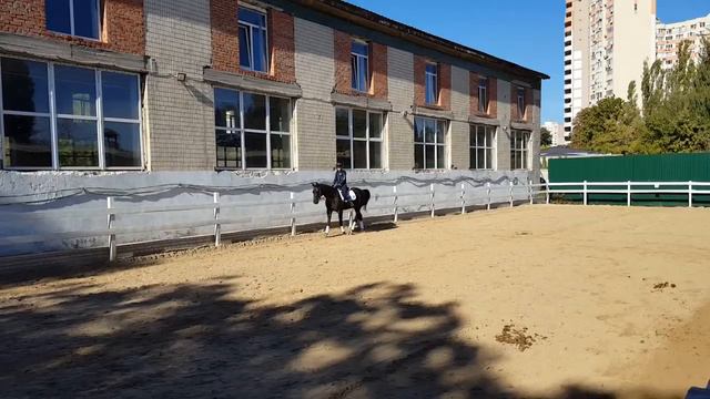 Даниил Усачев, верховая езда смотреть онлайн