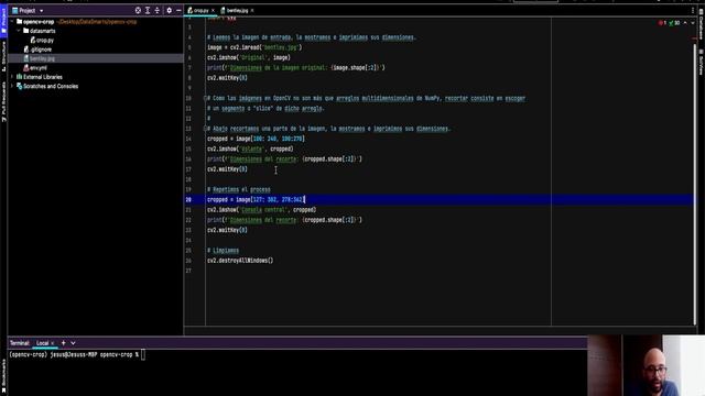 Cómo Recortar Imágenes en OpenCV смотреть онлайн
