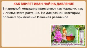 Иван-чай - польза для кровяного давления