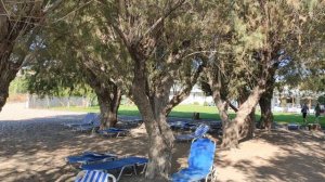 Stafilia beach hotel 3*, Beach, Rhodos, 10:00 a.m. 04.10.2023