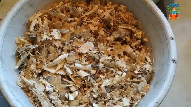 Новая партия Медвежьего ореха| Ставим на стратификацию |Продолжение стратификации | Фундук Сад смотреть онлайн