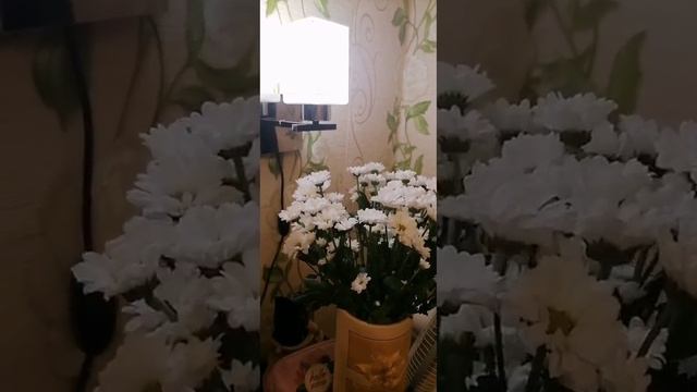 19 лет нашего знакомства.