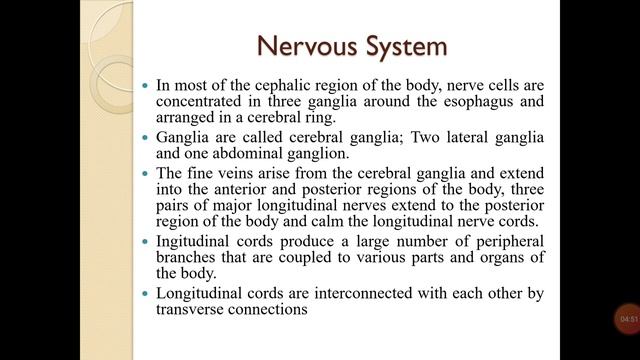 Brain ring and Longitudinal Nerves of Fasciola hepatica смотреть онлайн