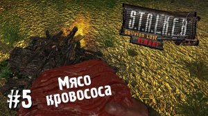 ✪OBLIVION LOST REMAKE 3.0 ✪ ХАРДКОР ✪ #5 Такое Выживание Должно Было Быть В Сталкере