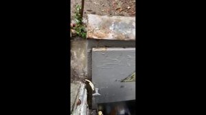 Крым Гурзуф Дождь , ураган, шторм