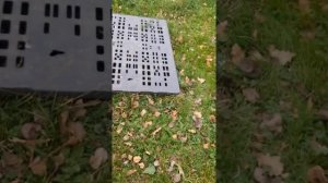 как приучить крысу к прогулке на улице? Можно ли вообще гулять с крысой на улице?