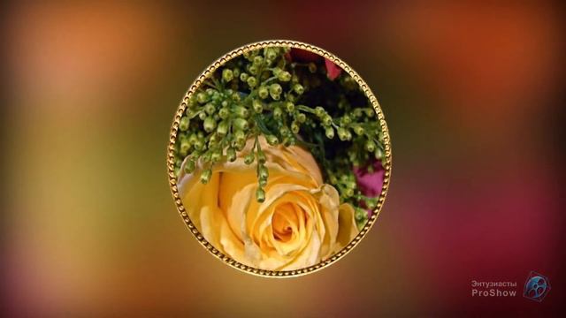 Переход на основе монеты смотреть онлайн