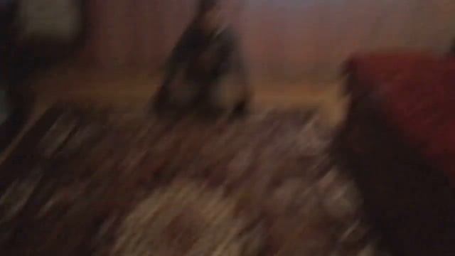 Пинальки воротар вгадує кут смотреть онлайн