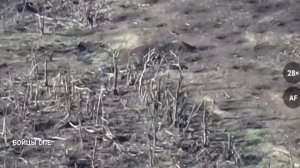 На видео — совместная работа штурмового отряда спецназа «Ахмат» и 1-го батальона 4-й бригады ВС РФ