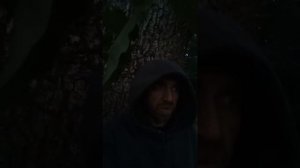 Ф.И. Тютчев "О чём ты воешь, ветр ночной?"