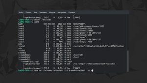 ? Скачать ISO-образ и создать загрузочную флешку в терминале Linux, когда нет других вариантов ?