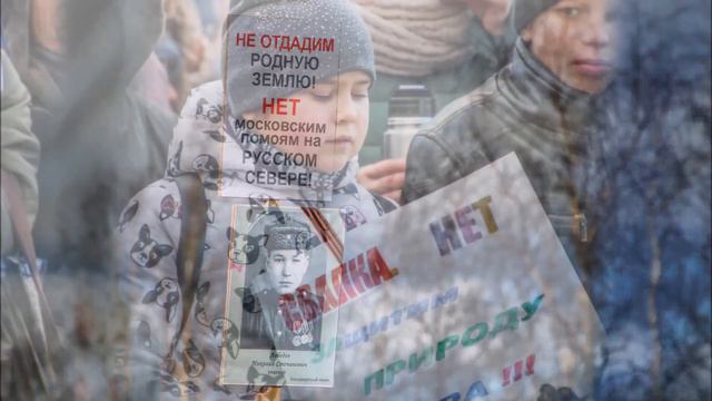 НАШ СЕВЕРО ЗАПАД Красоты нашей тайги Архангельская область