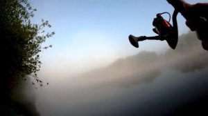 Ловля в проводку на пшеницу моя трофейная густёрка 835 грамм