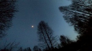 охота на вальдшнепа 2022 сезона