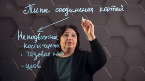 Типы соединения костей. 8 класс.