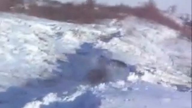 Балонно-прикладной спорт смотреть онлайн