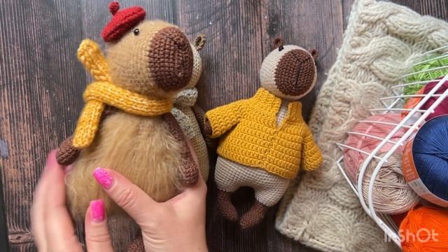 Обзор мастер-класса Капибара Бася смотреть онлайн