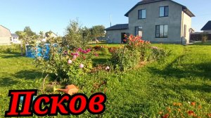 Выбросила без жалости.Обрили