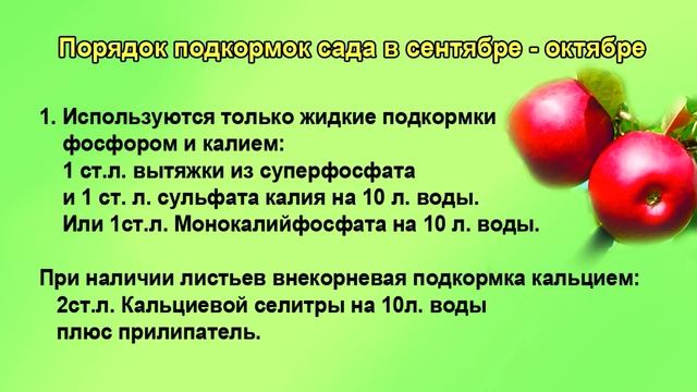 Главная подкормка сада в сентябре