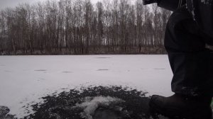 Первый лёд 2022 продолжается! ЩУКА СЛОМАЛА УДОЧКУ! Половил ОКУНЕЙ на уловистую блесну!