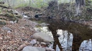 АДЫГЕЯ осенью. Горы.Отдых за 2 дня. Восторг.