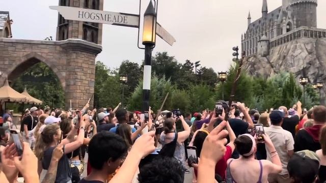 Wands Up For Michael Gambon - Fans Gather To Pay Tribute To “Harry Potter” Dumbledore Actor