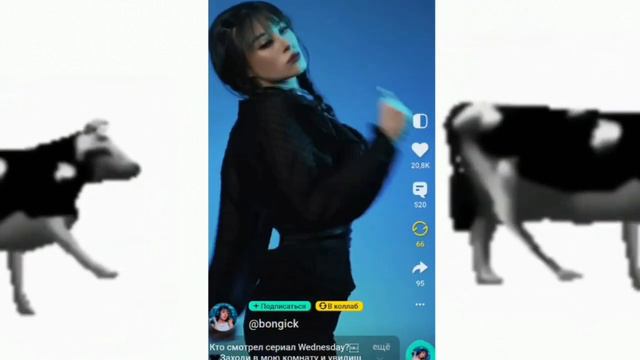 ПОСМОТРЕЛ ВИДЕО ИЗ YAPPY! смотреть онлайн