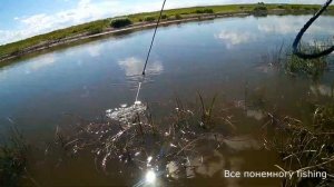 Кастинговая сеть без рыбы не оставит. Караси и щука на Оше. Рыбалка в Омской области