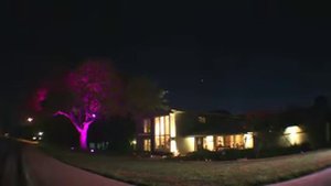 Ландшафтная LED подсветка деревьев