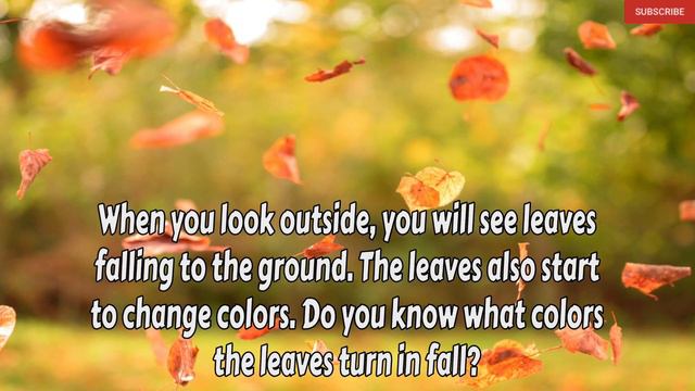 All About Fall Read Aloud смотреть онлайн