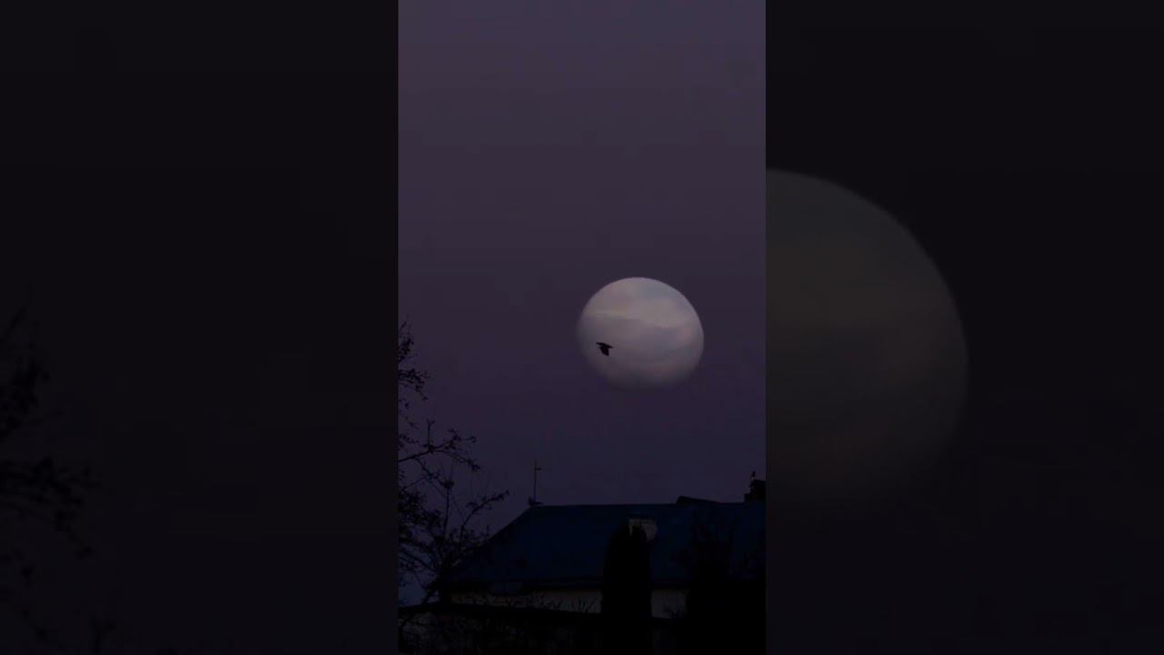 Если бы на расстоянии Луны оказались Меркурий, Венера, Земля, Марс #shorts смотреть онлайн