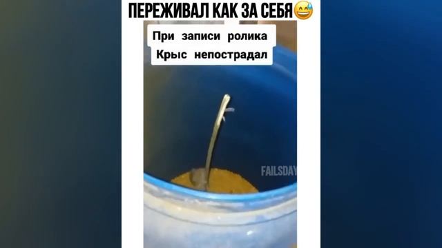 Подборка лучших роликов из Инстаграма 2021! #60