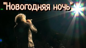 Анатолий Вишняков - "Новогодняя ночь"