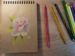 Рисунок розы цветными карандашами || Учимся Рисовать