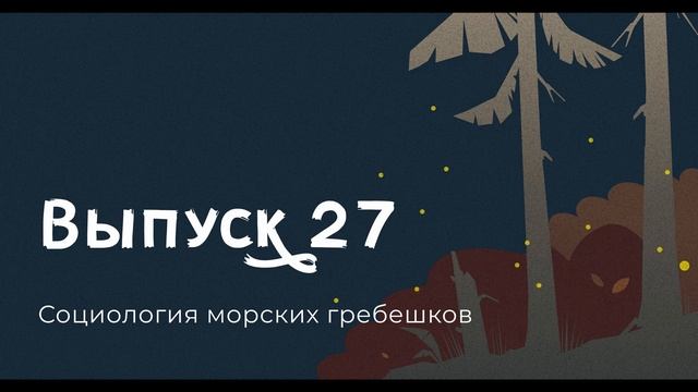 Мишель Каллон, Социология морских гребешков