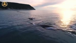 Рыболовецкий колхоз им. В. И. Ленина, Петропавловск-Камчатский