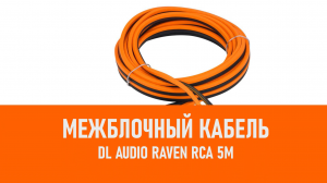 Распаковка DL Audio Raven RCA 5M межблочный кабель 5м