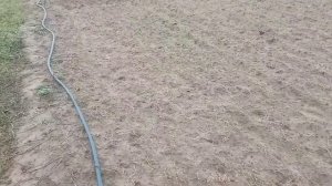 Ес метр ph води для полива клубники. хорошее качество води