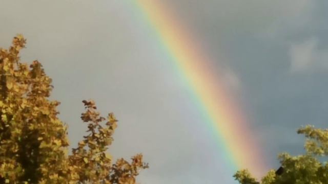 Диалог с Высшим Я и Аспектом/Сколько цевилизаций на нашей планете/Немного об интерферентах
