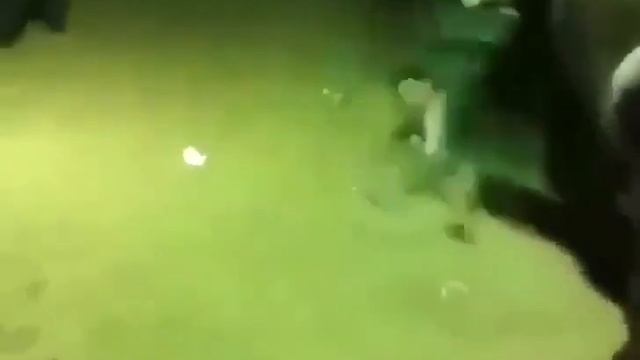 Бык выходит из ворот like a boss (лучшие приколы, ржач, смех до слез, фейл) смотреть онлайн